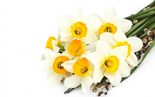 905538 (a): :2560x1600